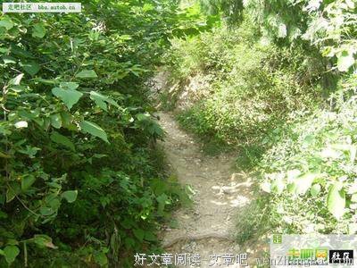 【零点小马】年轻人，你为什么总是忧伤