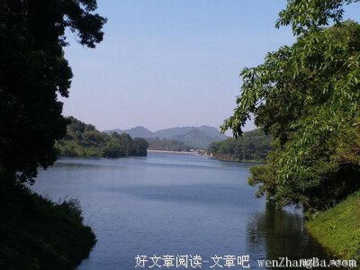一人不进庙，二人不看井， 三人不抱树......（深度好文）