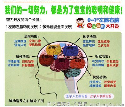 聪明的父母，都和老师肩并肩