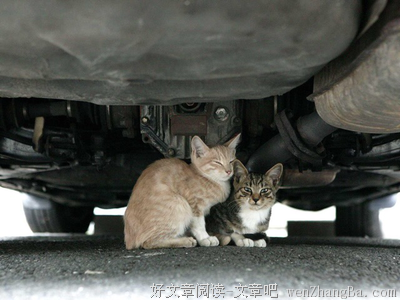 天寒地冻的名句_关于天寒地冻的名句