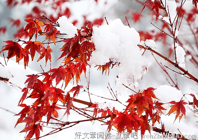 一个样的语句摘抄_关于一个样的语句