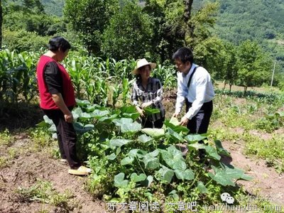 我是墨水的名言名句