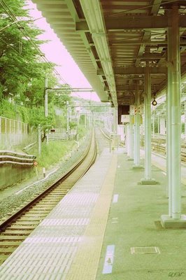 最经典的《初恋了那么多年》经典语句大全