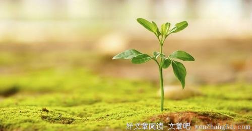 不要把你的“穷病”传给你孩子