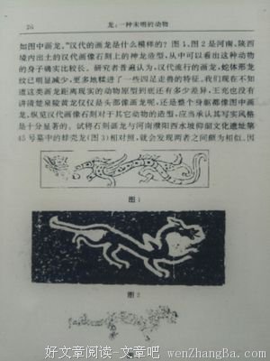 龍——是否真的存在？神物还是生物？