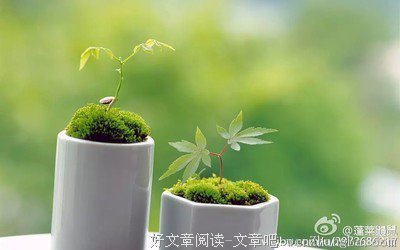 萌芽经典 | 春天十二岁，作者：钟念念