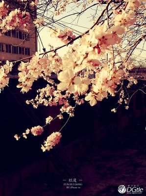 抓住时光