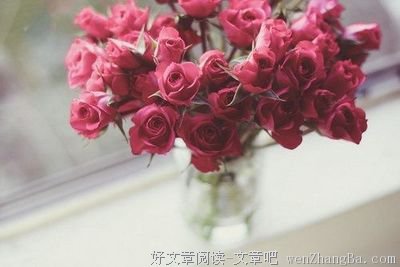 关于针锋相对的名句摘抄