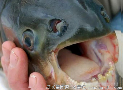 遇到这种男人，走了千万别回头