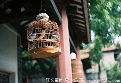 ▶伤春悲秋，如何调节季节性的负面情绪呢？