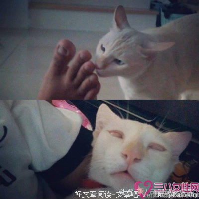 “睡一觉就好了。”“骗人。”