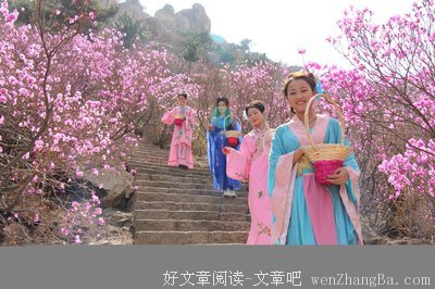 一夜花开，情自来