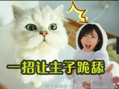 学会正确拒绝，让高冷女生跪舔你