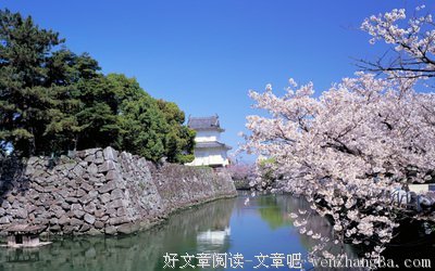 桥差之黑灯笼