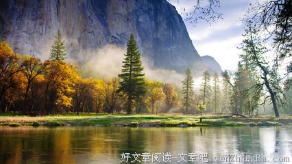 小荷的语句摘抄_关于小荷的语句