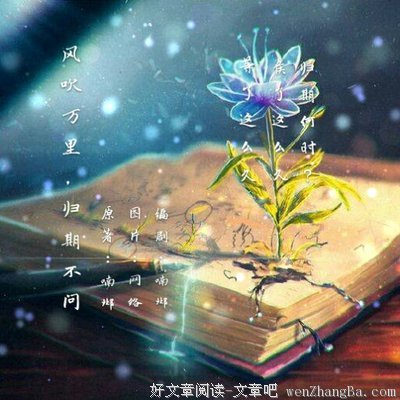 望你，像风吹万里，不问归期