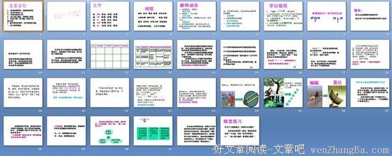 见微知著的句子