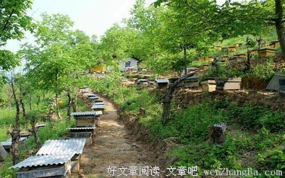 喝水加一物，排出体内10年垃圾、漂亮又健康！