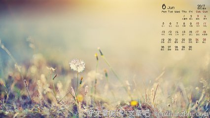 7年