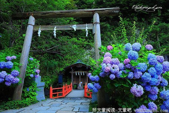 给我一点勇气，我就离开你了。