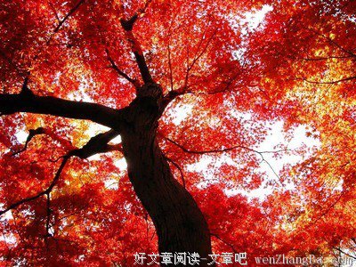 这么多礼物，我竟然没有花一分钱，太开心了~丨她社区精选