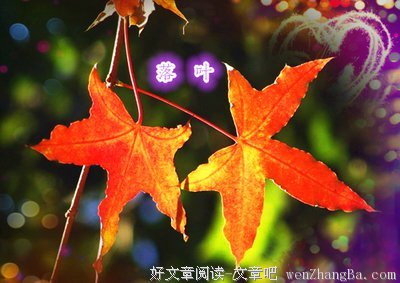 最新的《长相思》经典语录大全