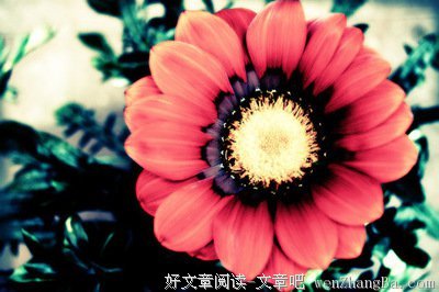 最经典的《二三事》经典语录