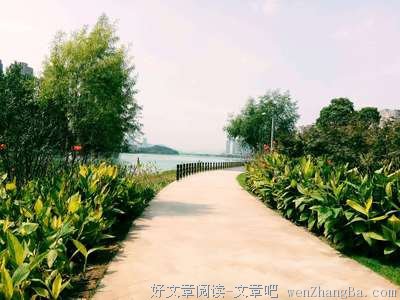 秋意已深，秋无恙