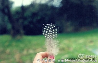 来信 | 既然选择了，就不要轻易说放弃，其实又何必呢？