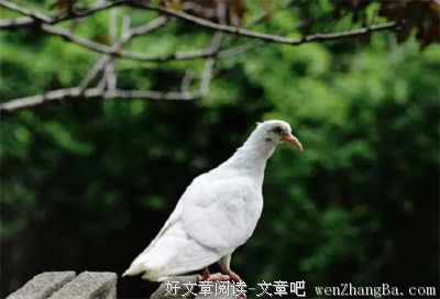 想谈一场齁死人的恋爱