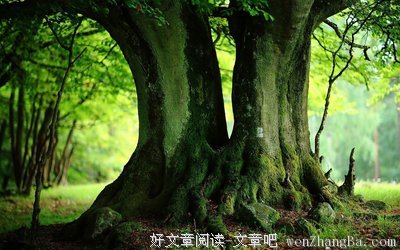 最经典的歌德名句欣赏