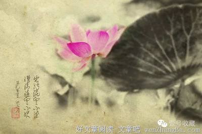 关于南辕北辙名言名句