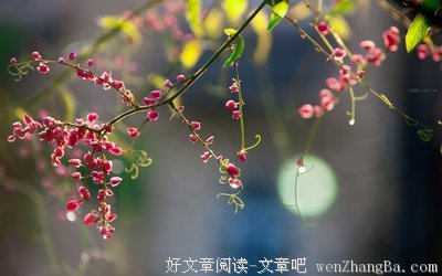 蝇营狗苟的名人名言