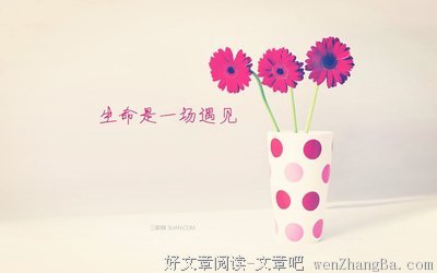 《小心轻放的光阴》经典名句大全