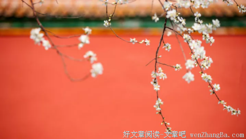 钱锺书：假交情与真朋友