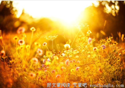 爱不爱 不是说说而已 如果连这些都做不到 那他并不是真的很爱你