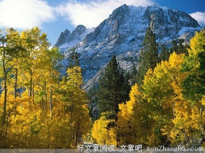 最新的杨熹文的名言名句