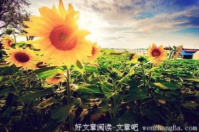 有关珍妮特的美句摘抄