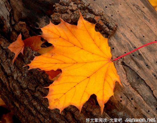 描写全面的经典句子