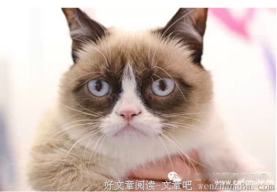 描写大开眼界的经典句子