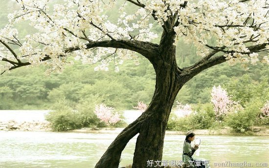 《寂寞空庭春欲晚》小说摘抄大全
