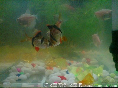 冬天来了，要谈一场暖暖的恋爱。