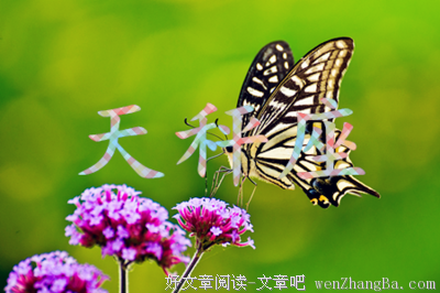 和天秤座谈恋爱是什么体验感