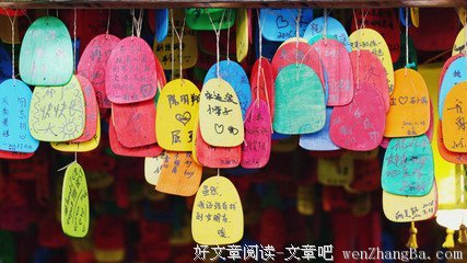 如何高质量度过周末时光？