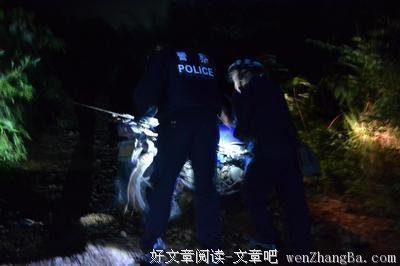 《猎捕》的影评10篇