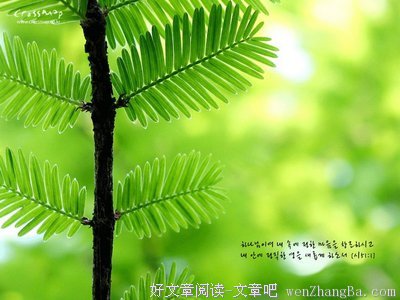 跑步圣经经典读后感10篇