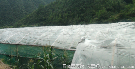 文乡小聚｜【岱冲湖】车到无路处，别是一番天