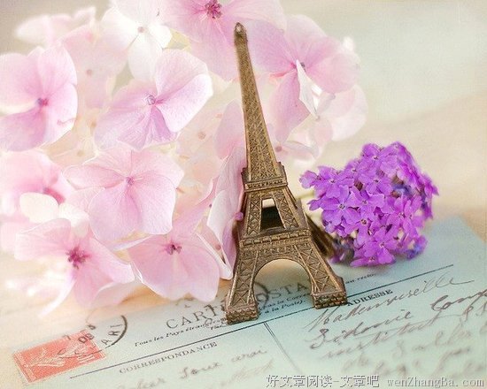 菲斯的语句摘抄_关于菲斯的语句