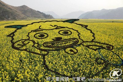 关于开化的语句