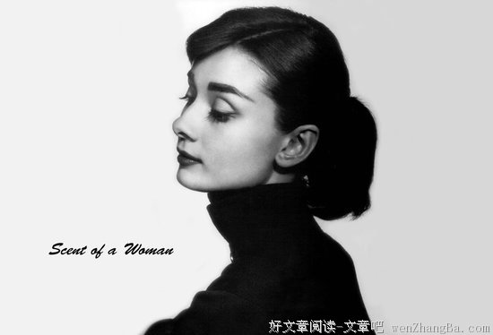最新的《闻香识女人》语录摘抄